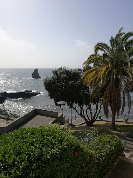 IMG_20190224_115805.jpg IMG_20190224_115805.jpg