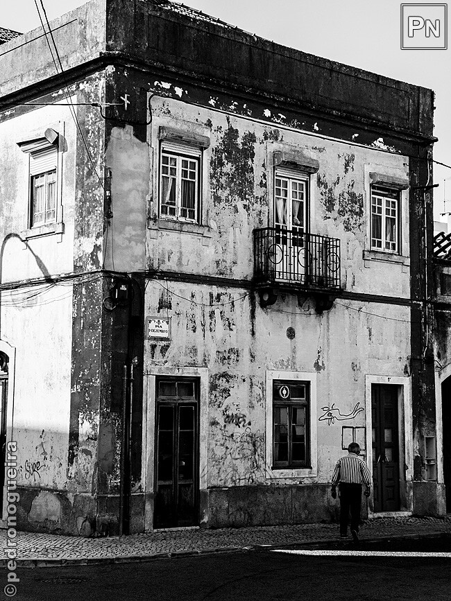 Jul_2023_032 650px.jpg