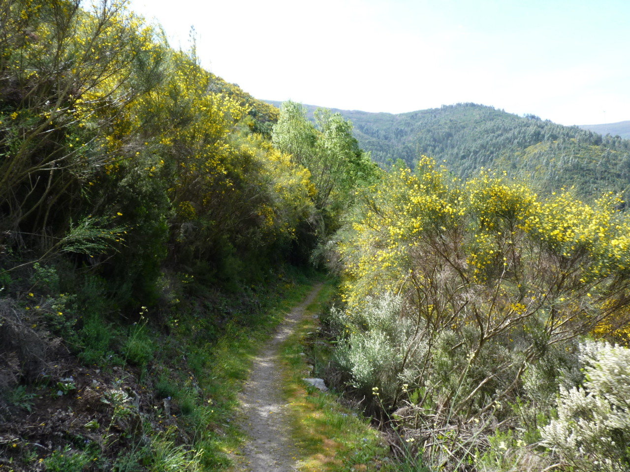 Piódão (16).JPG Piódão (16).JPG