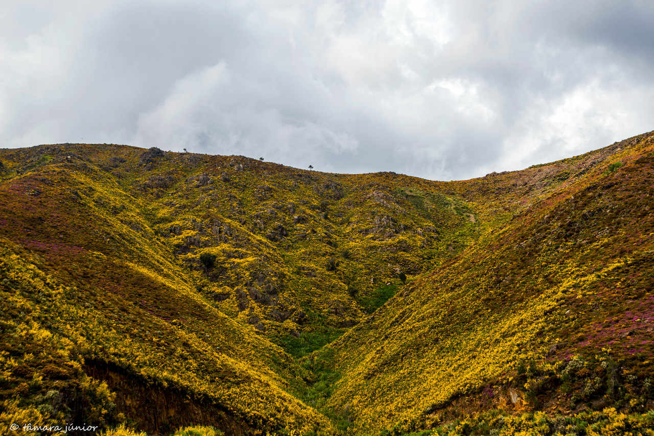 2015 - S. Pdro do Sul (Termas+Manhouce+Pena) (206)
