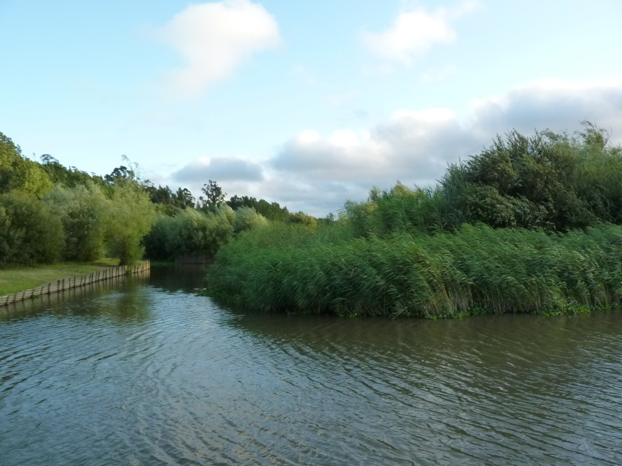 Pateira de Fermentelos (5).JPG