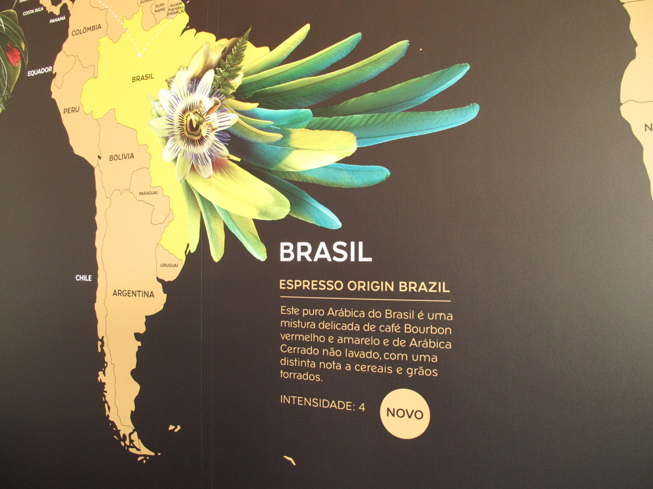 Espresso Origin Brazil