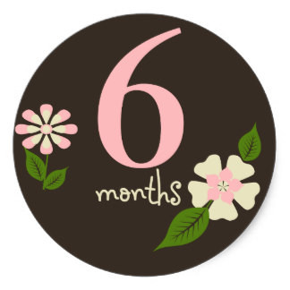 brown_floral_6_months_belly_round_sticker-r161cd01