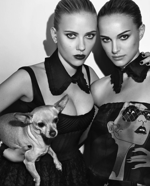 maria joão bastos.jpg maria joão bastos.jpg