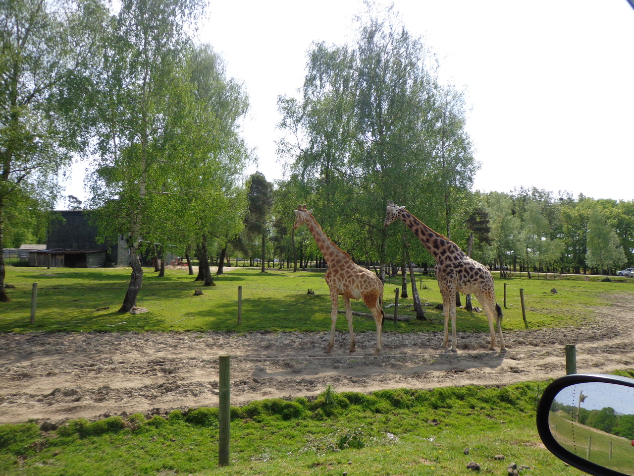 DSC09348.JPG DSC09348.JPG