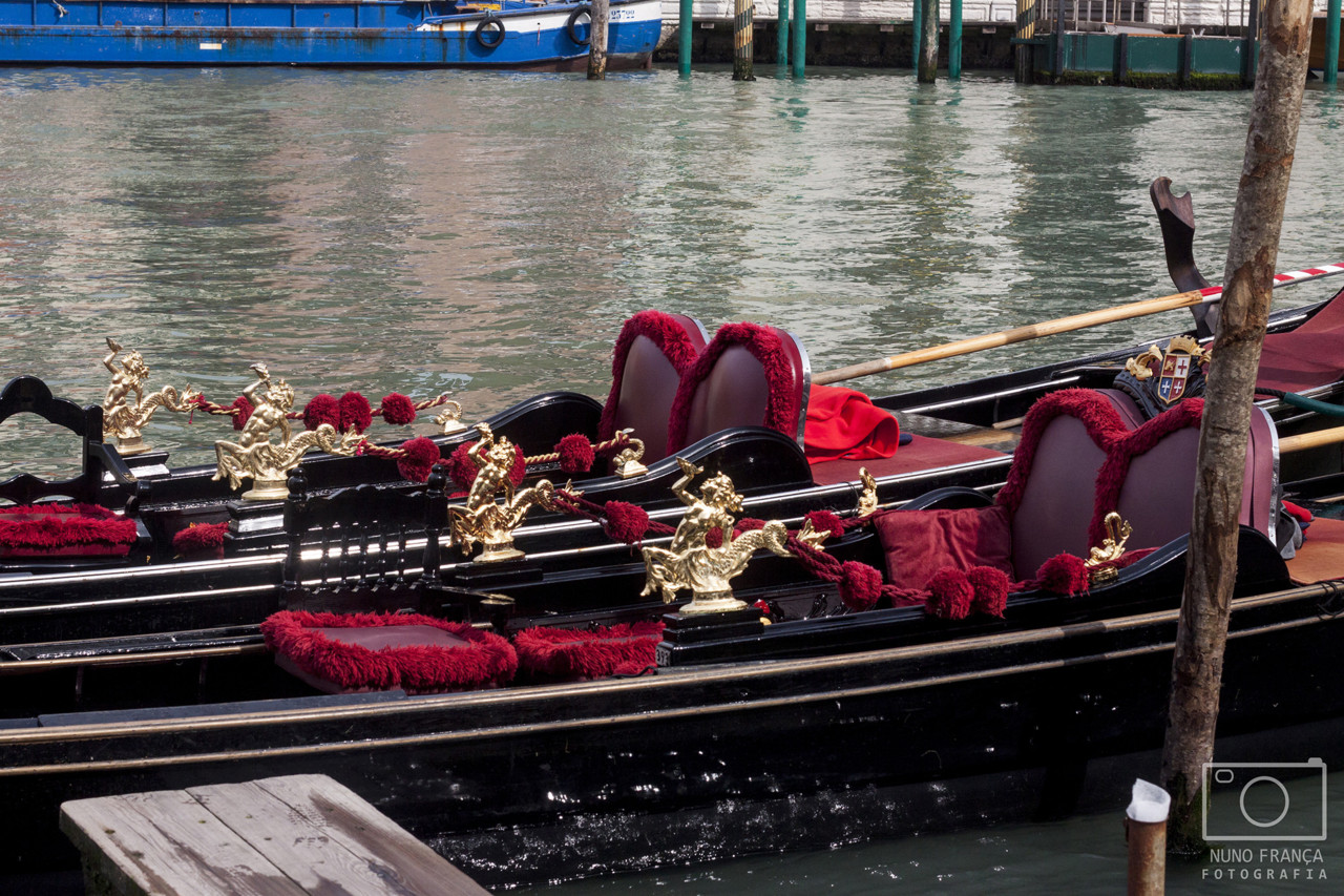 IMG_5542_net.jpg IMG_5542_net.jpg