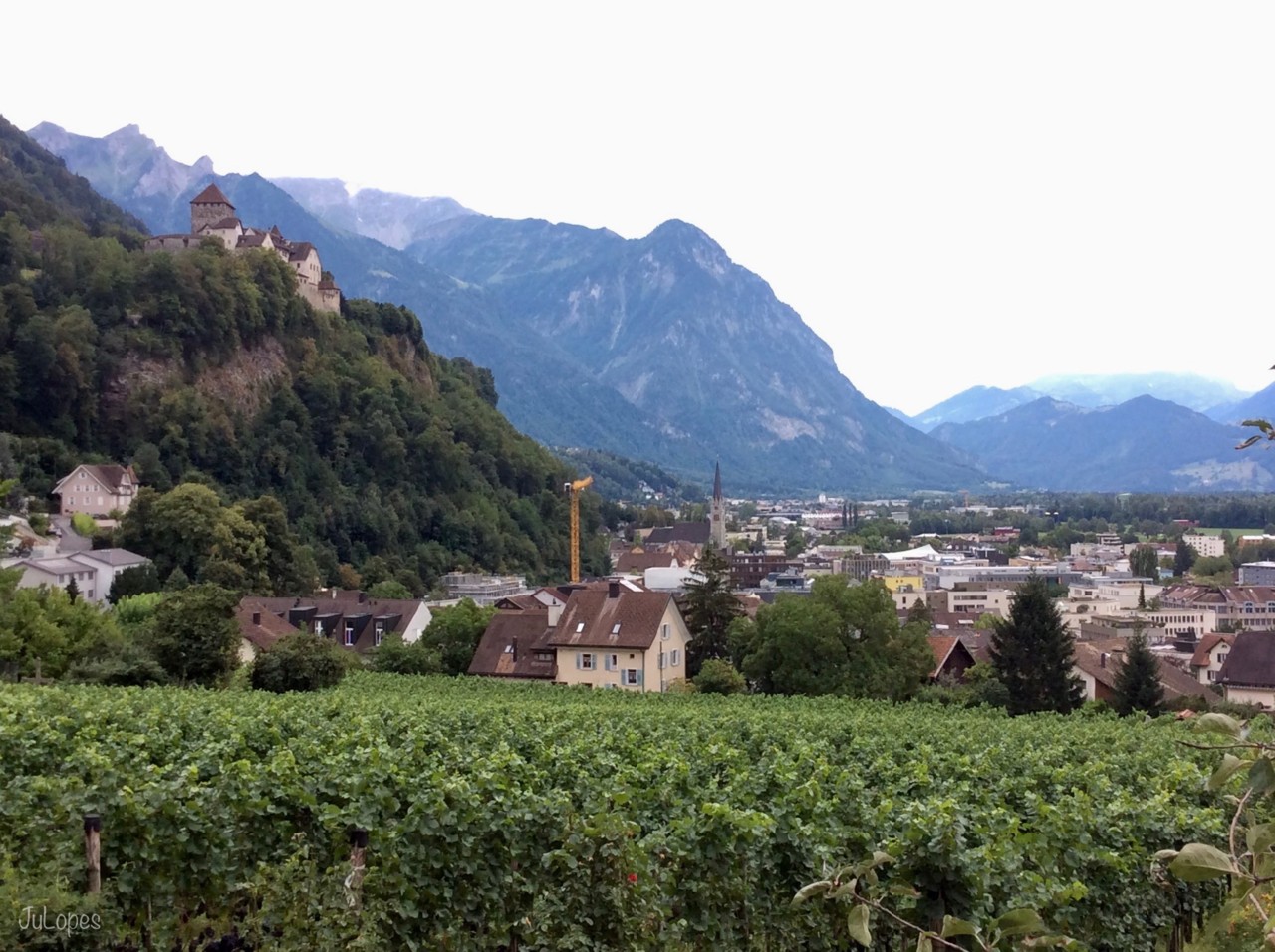 IMG_4946.jpg IMG_4946.jpg