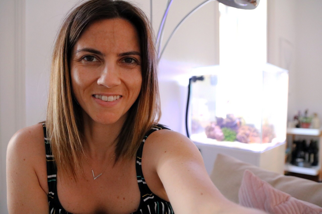 animal de estimação um peixe