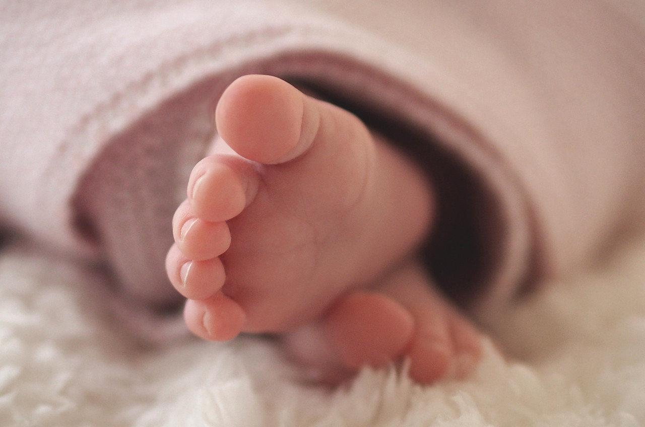 © o Diário de Katja