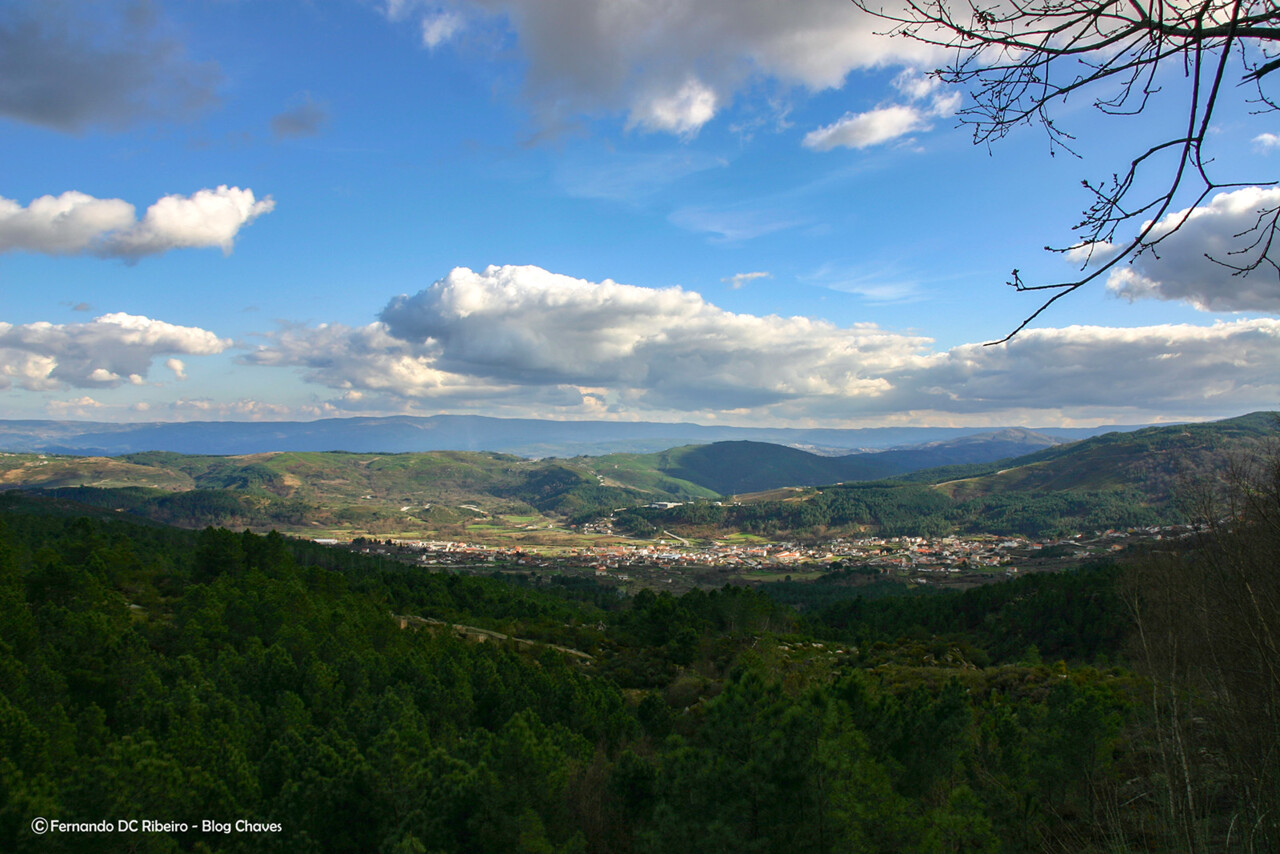 3-1600-boticas (13).jpg