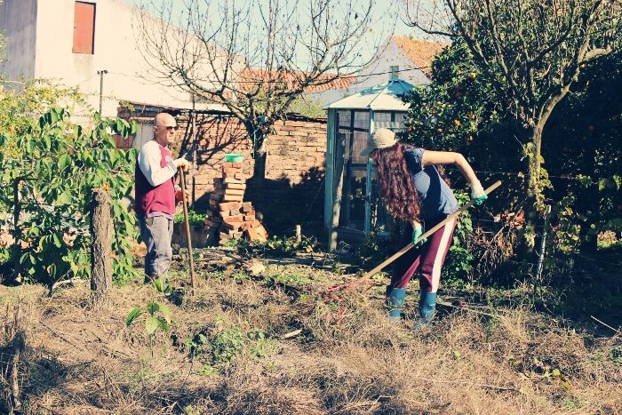 Rescaldo da pandemia3.jpg