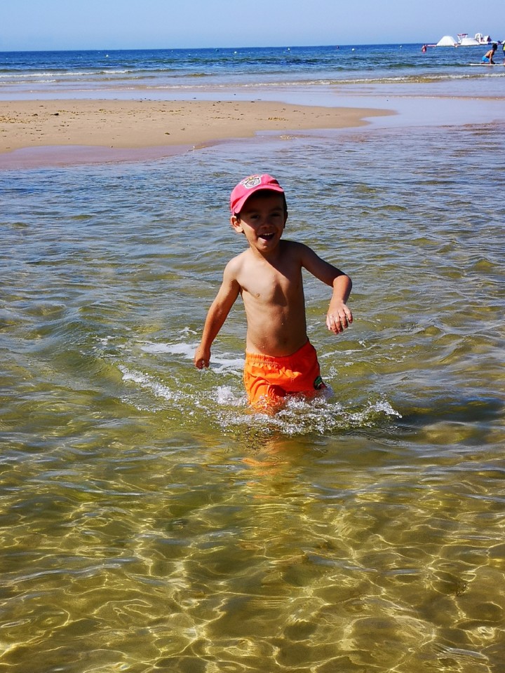 IMG_20190803_105011.jpg IMG_20190803_105011.jpg