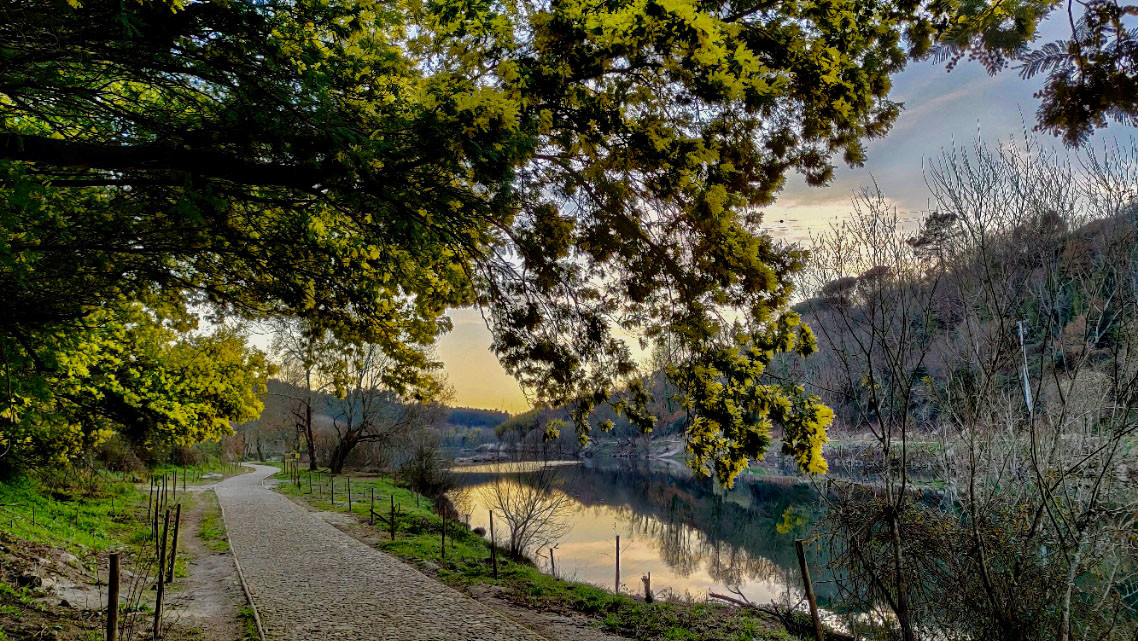 Trilhos dos Castanheiros com mimosas.jpg