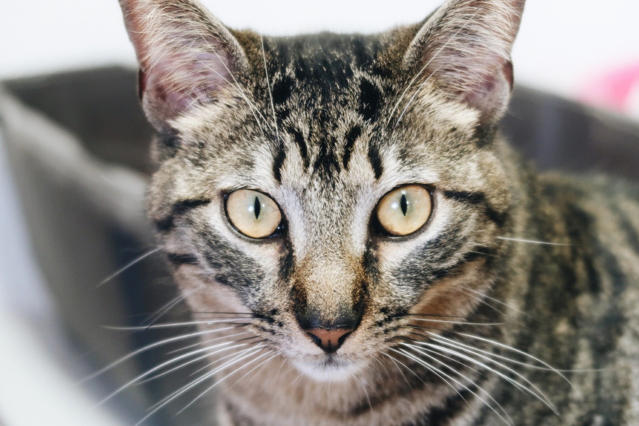 22B38D1D-574C-46FA-9E6C-20E18A552FB5.jpg 22B38D1D-574C-46FA-9E6C-20E18A552FB5.jpg