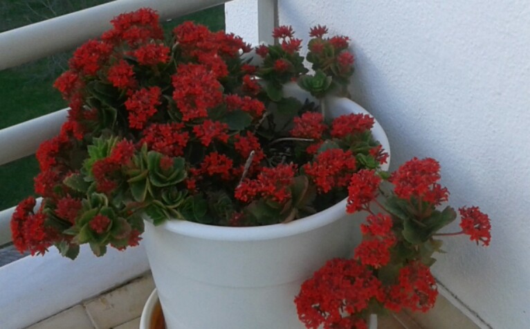 2016-03-09 15.54.58.jpg 2016-03-09 15.54.58.jpg