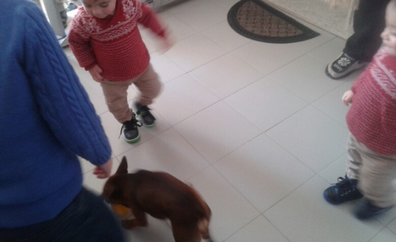 2016-02-22 10.09.33.jpg