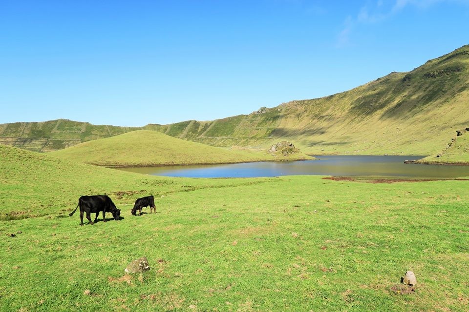 42681080_2155140474497043_4305226697264857088_n.jp