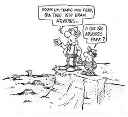 Amazónia casa na árvore.jpg Amazónia casa na árvore.jpg