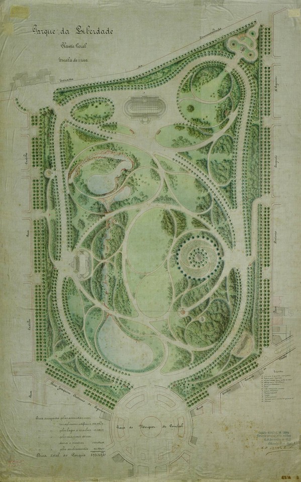 Desenho a aguarela sobre tela representando a plan Desenho a aguarela sobre tela representando a plan