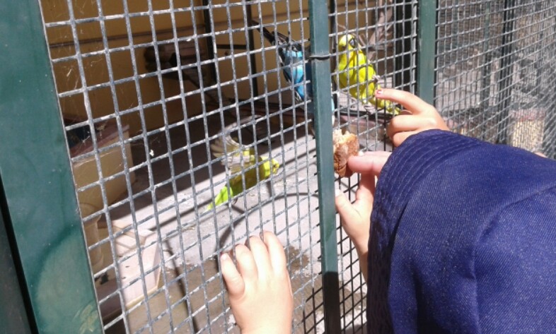 2016-09-12 09.24.09.jpg 2016-09-12 09.24.09.jpg