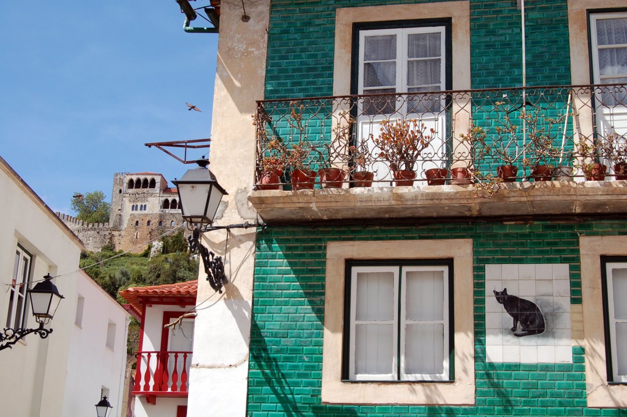 DSC_0064.JPG DSC_0064.JPG