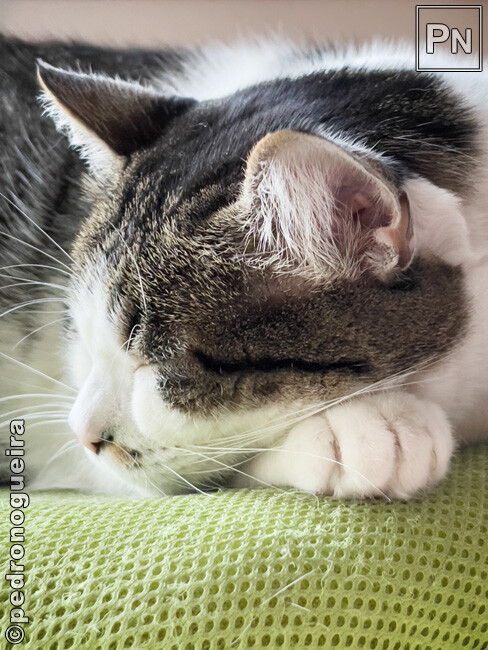 Nov_2023_012 650px.jpg