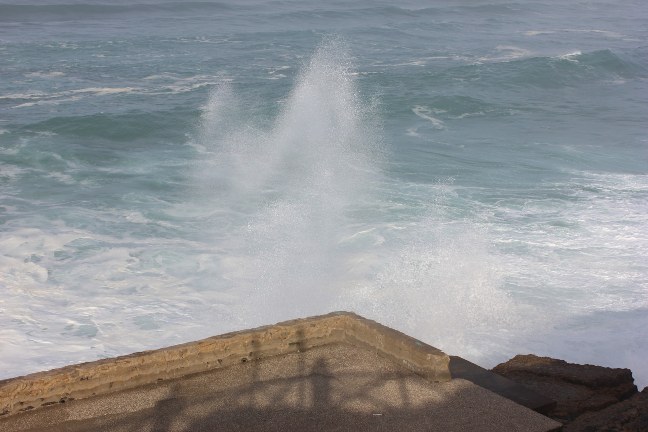 IMG_3215.JPG IMG_3215.JPG