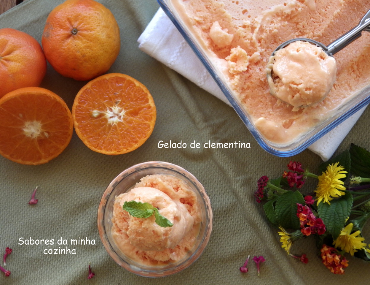 IMGP8583-gelado de clementina-Blog.JPG IMGP8583-gelado de clementina-Blog.JPG