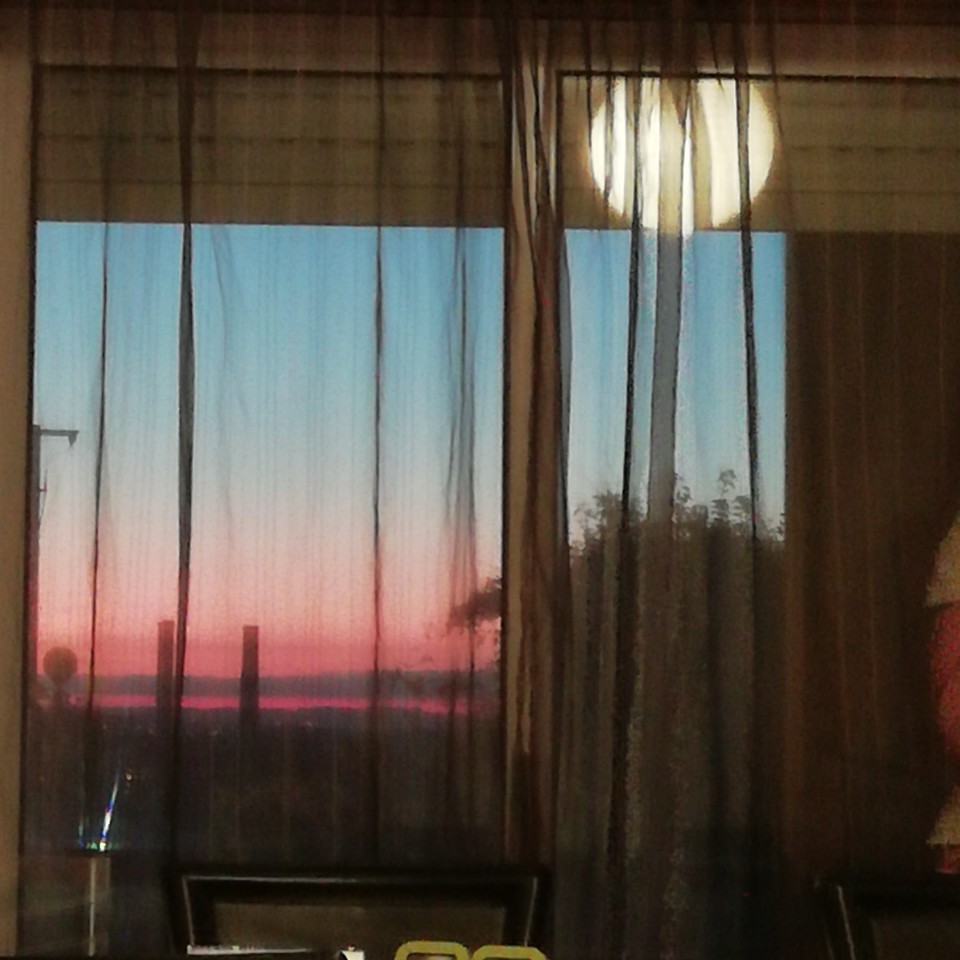 IMG_20190829_204157.jpg IMG_20190829_204157.jpg