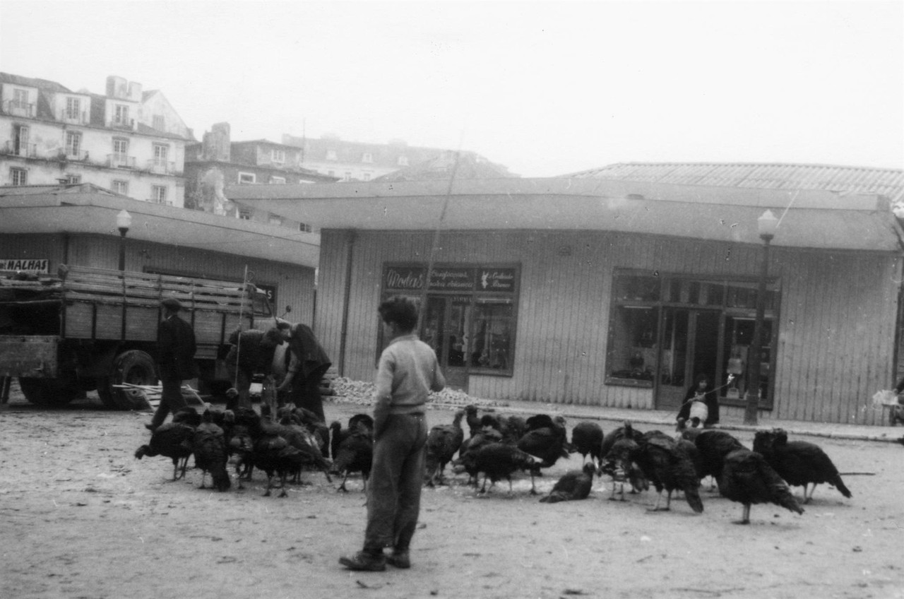 Venda de perús na época do Natal, no Martim Moni Venda de perús na época do Natal, no Martim Moni
