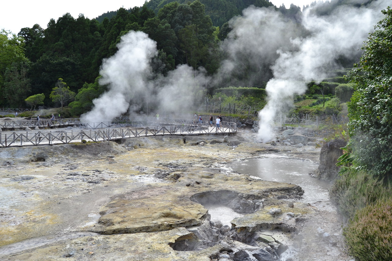 DSC_0345.JPG DSC_0345.JPG