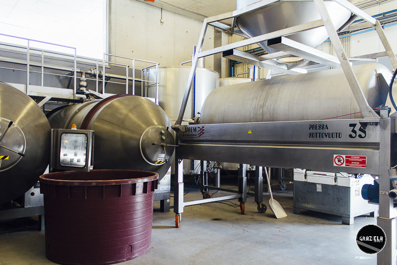 Campo_Maior_Originais-001010.jpg Campo_Maior_Originais-001010.jpg