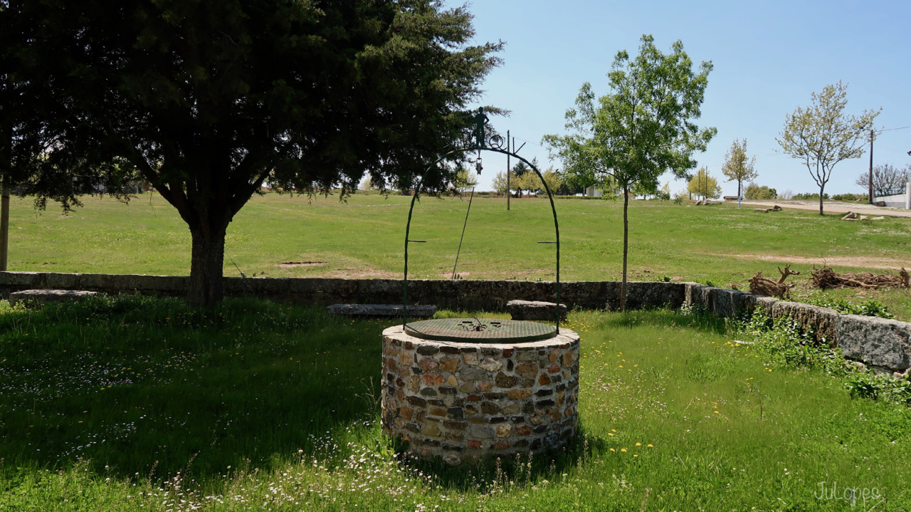 IMG_1546.jpg IMG_1546.jpg