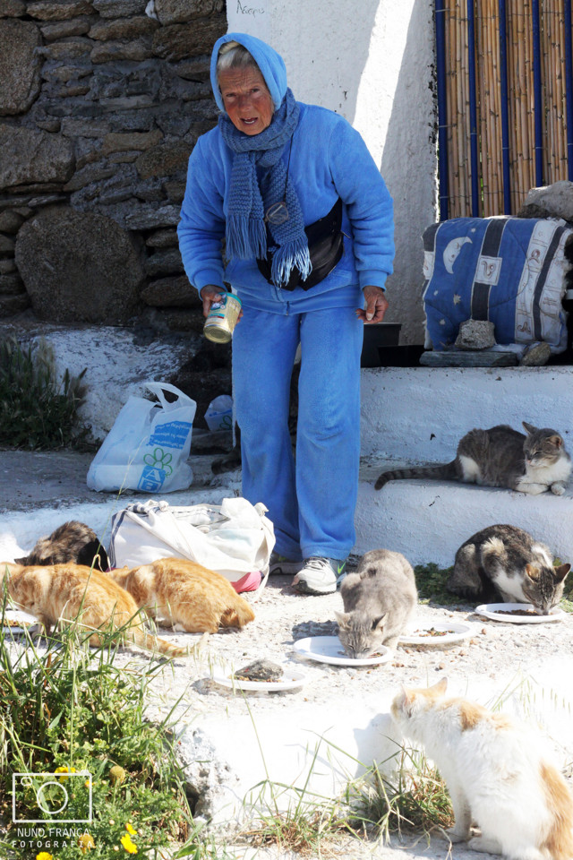 IMG_5838_net_redimensao.jpg IMG_5838_net_redimensao.jpg