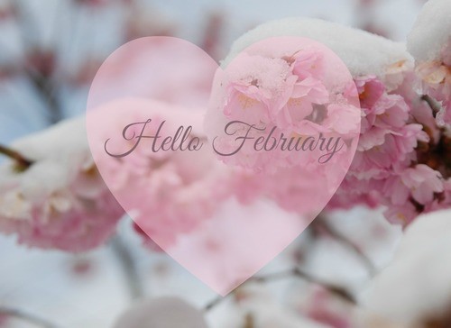 Hello-February-We-Heart-It-2.jpg