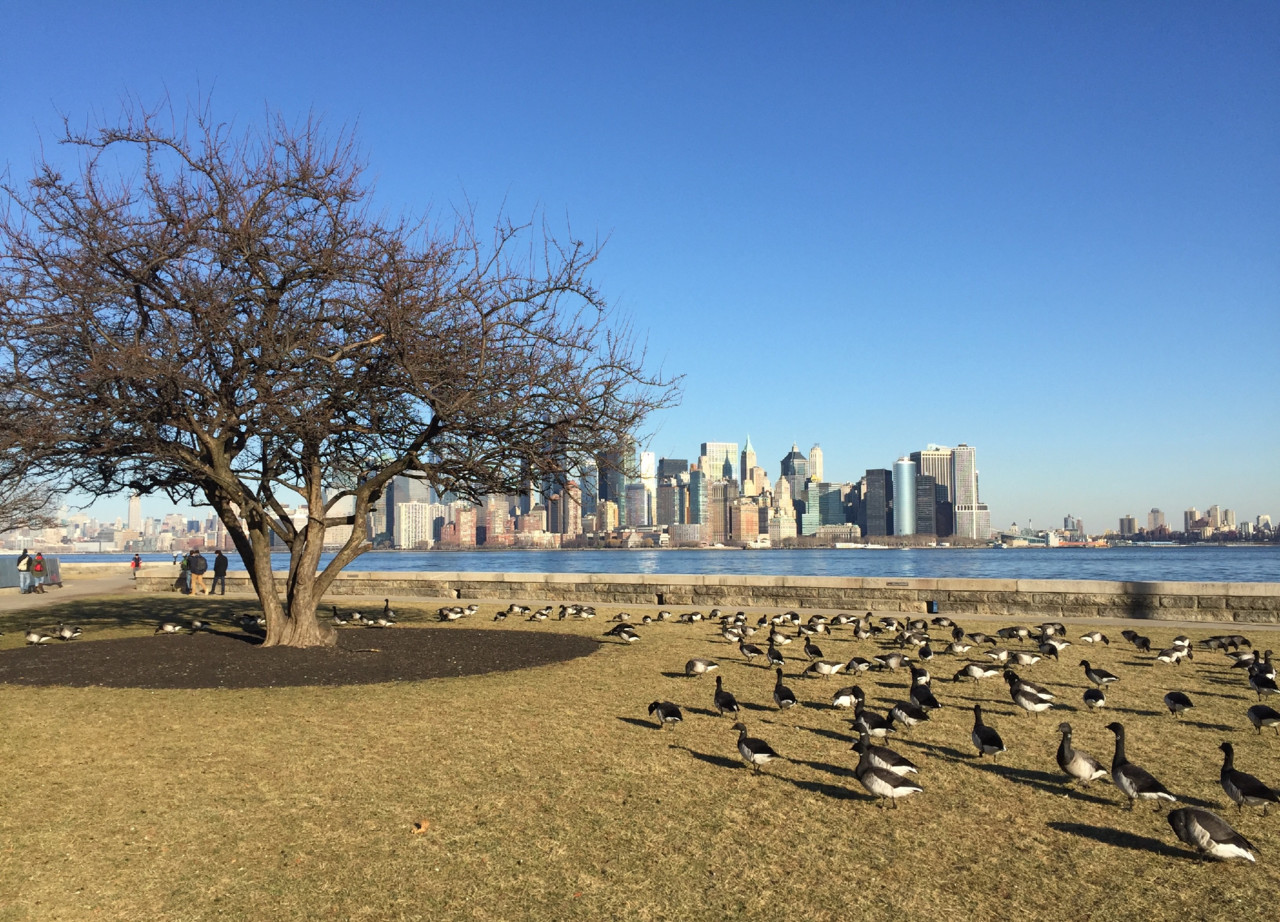 IMG_9081.jpg IMG_9081.jpg