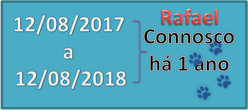 12agosto.jpg 12agosto.jpg