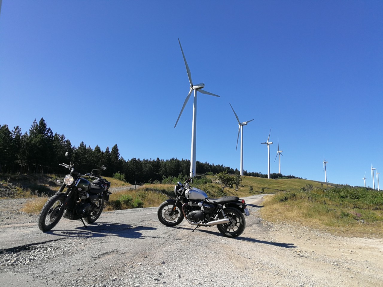 IMG_20180810_101906.jpg IMG_20180810_101906.jpg