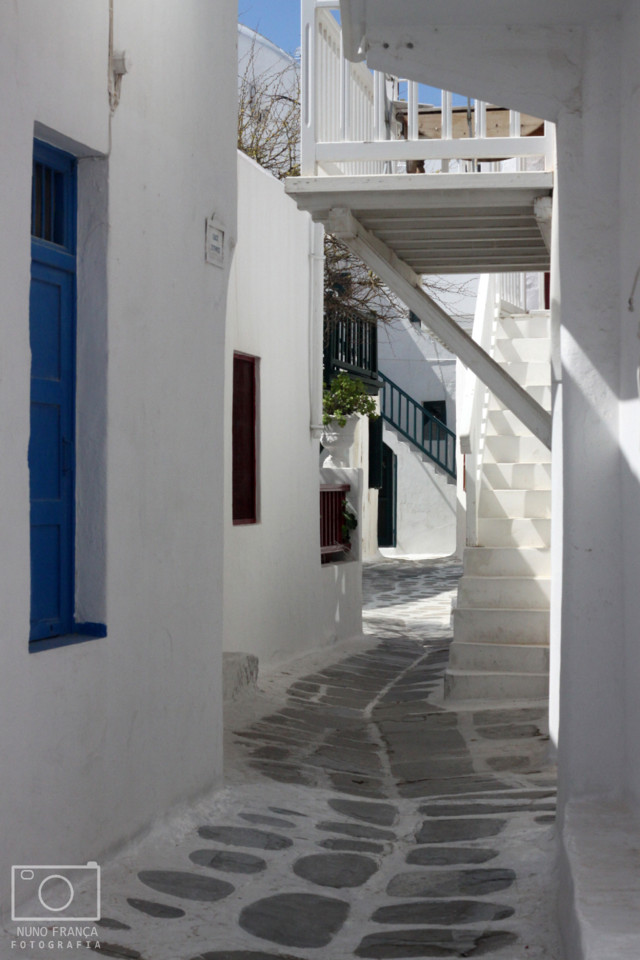 IMG_5881_net.jpg IMG_5881_net.jpg