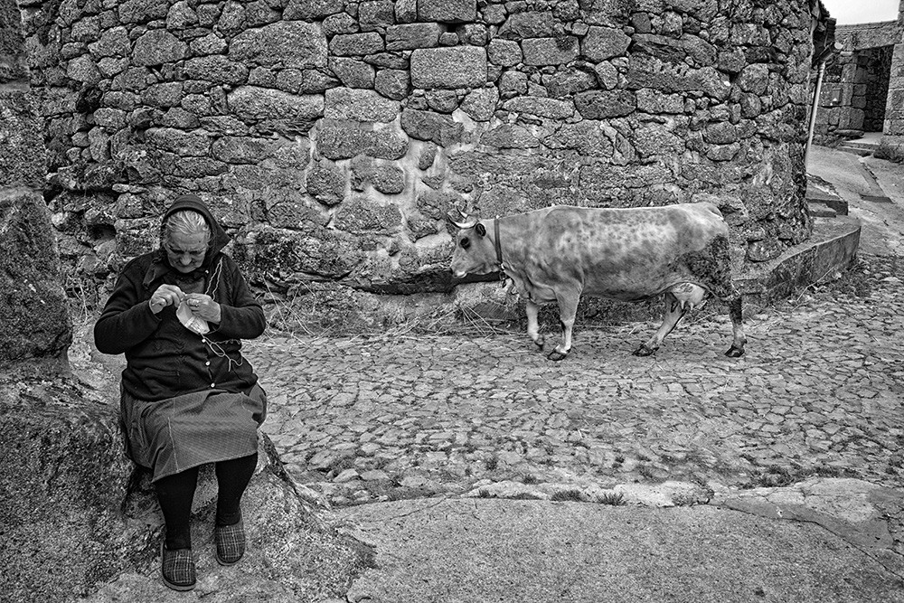 Barroso - Penedones, etc 053 - Cópia.jpg