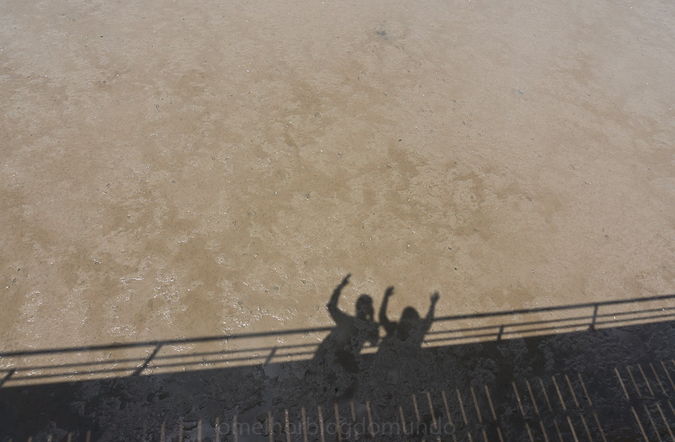 DSC02427.jpg DSC02427.jpg