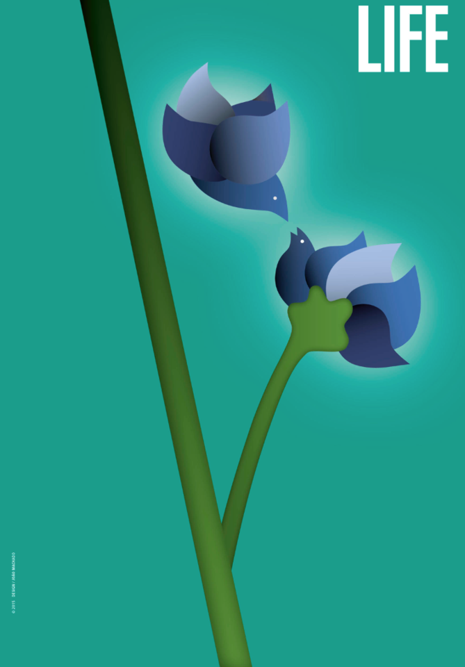 Screen Shot 2017-07-09 at 11.03.46.png Screen Shot 2017-07-09 at 11.03.46.png