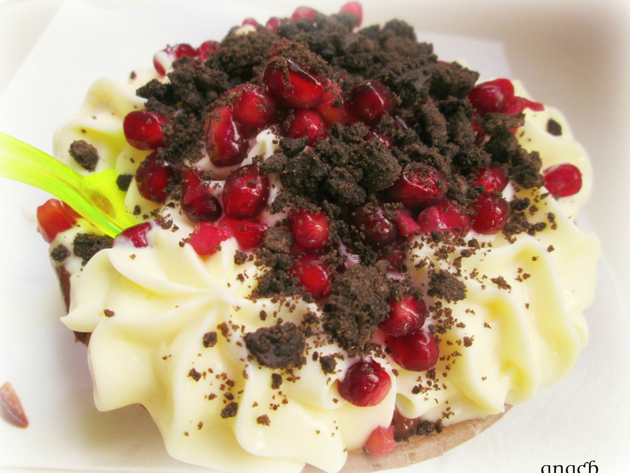 IMG_9058 cópia assin.jpg