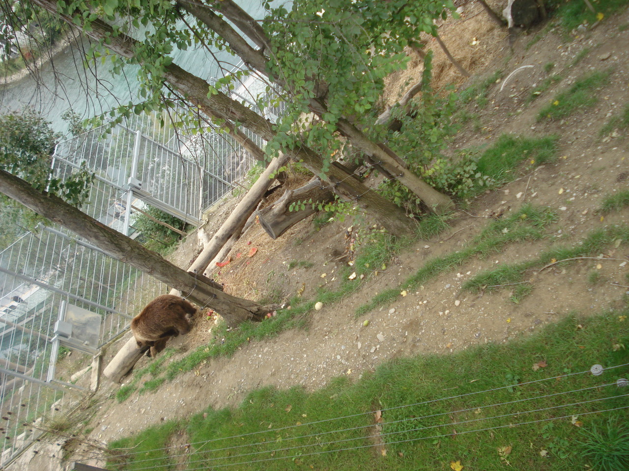 DSC09800.JPG DSC09800.JPG