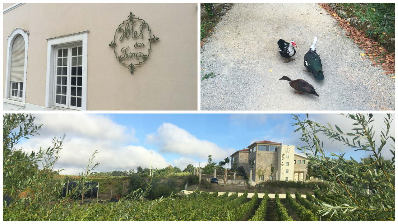 Hotel das Termas e Quinta de Baixo