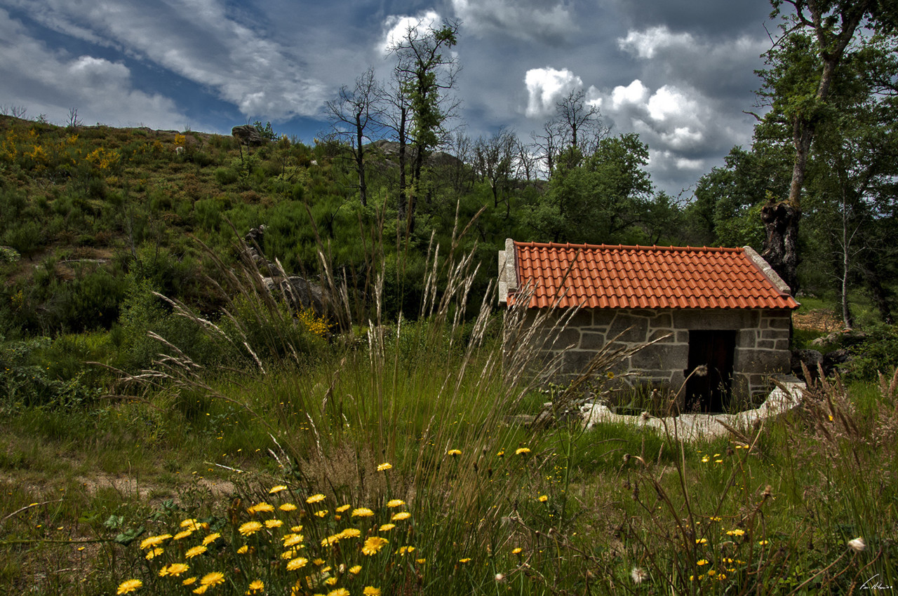 1600-firvidas (321).jpg 1600-firvidas (321).jpg