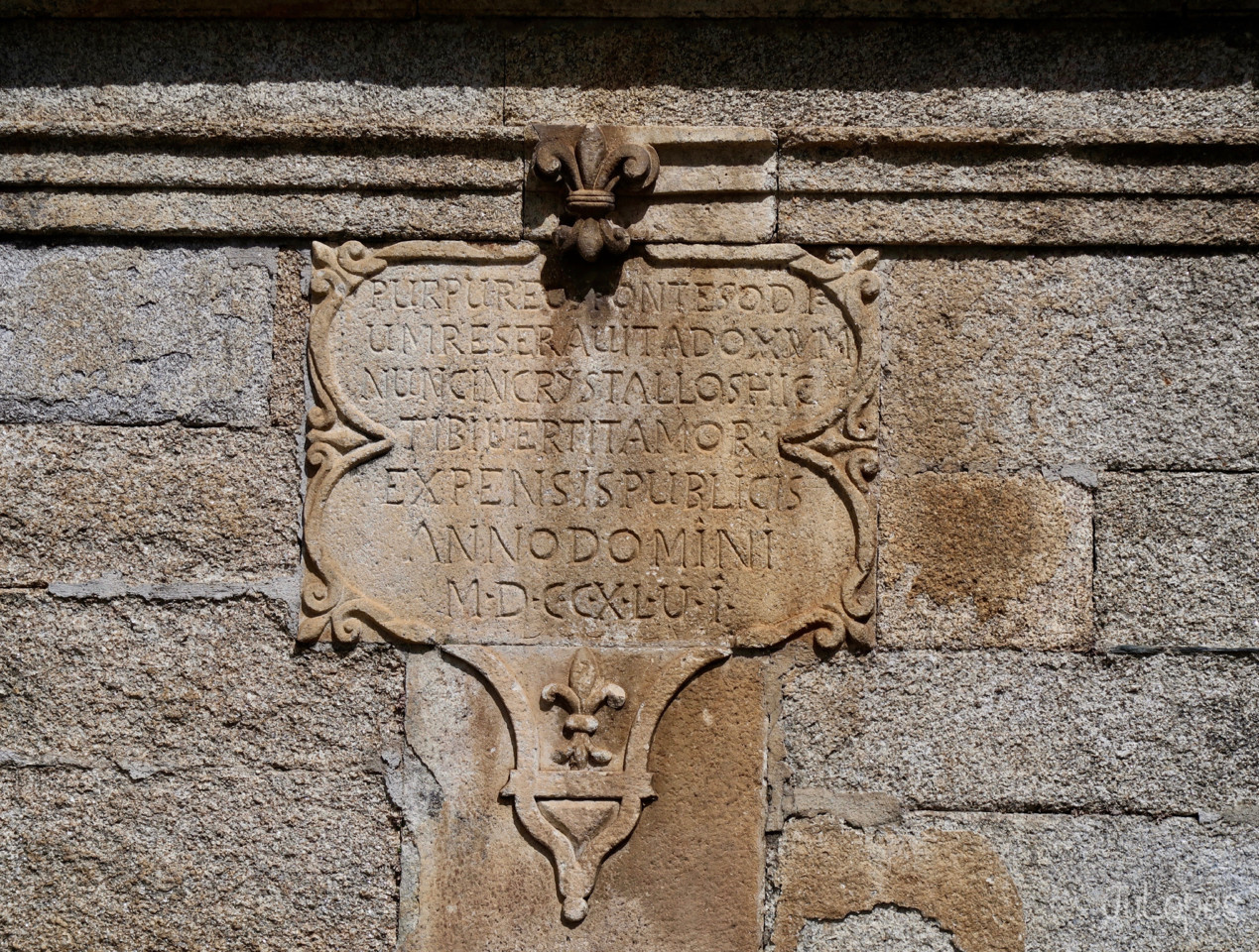 IMG_0175.jpg IMG_0175.jpg