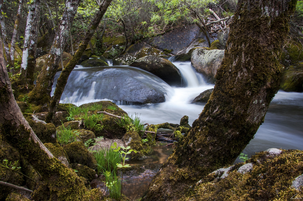 1600-olas (121).jpg 1600-olas (121).jpg