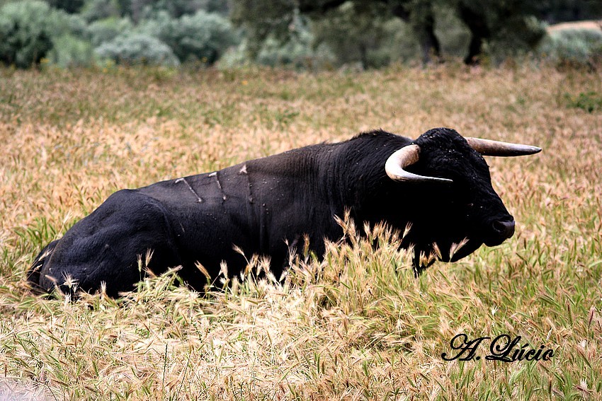 Treino Falé Filipe 148.jpg