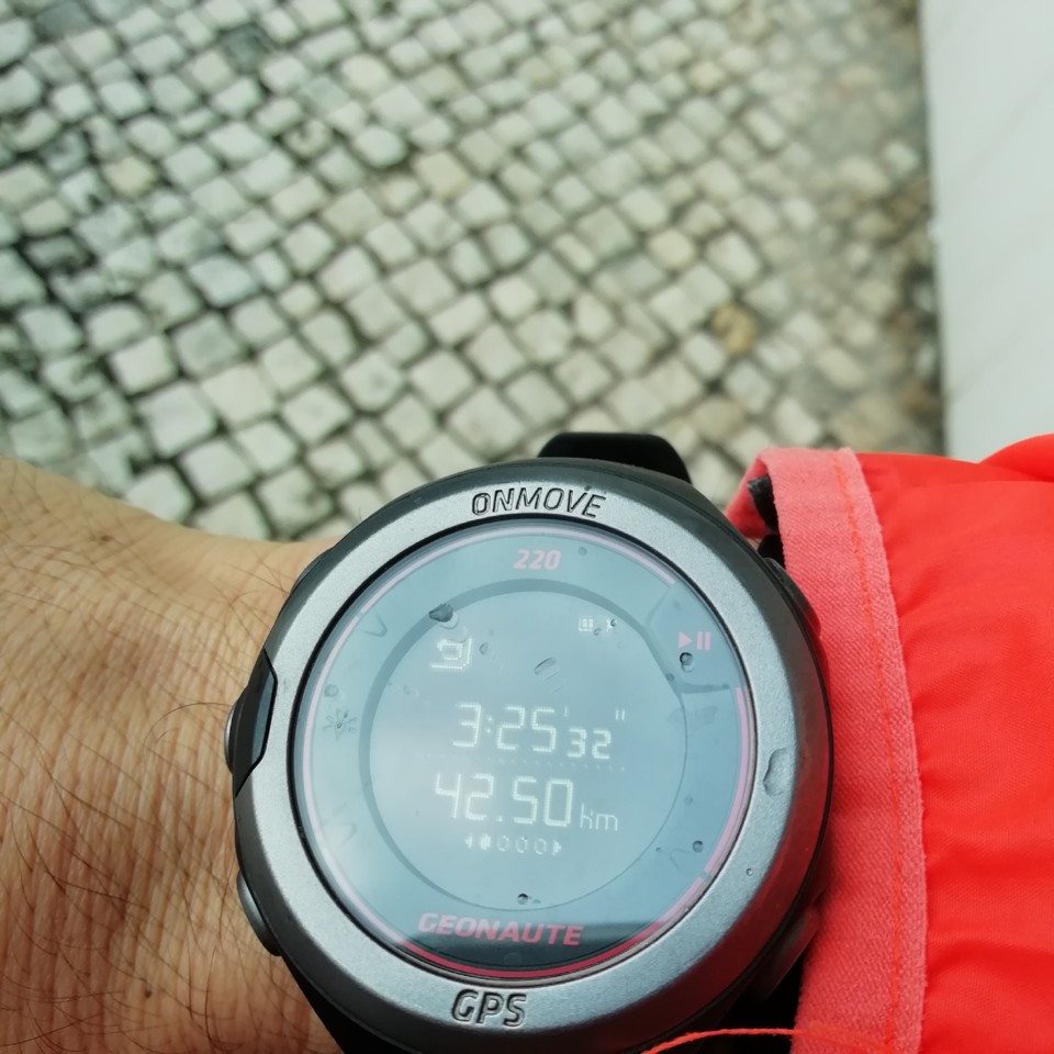 IMG_20201108_090709.jpg IMG_20201108_090709.jpg